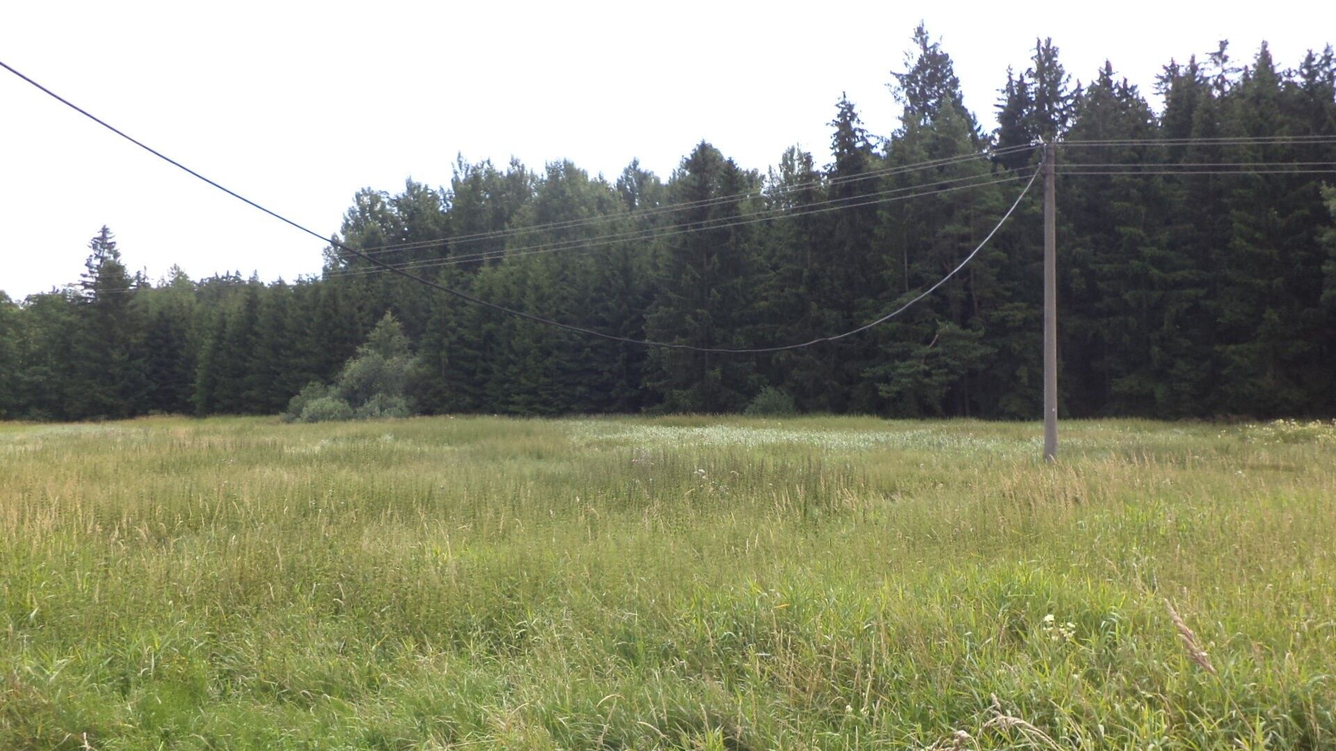 Zemědělské pozemky, Chodský Újezd Nahý Újezdec, 13 137 m² - 2