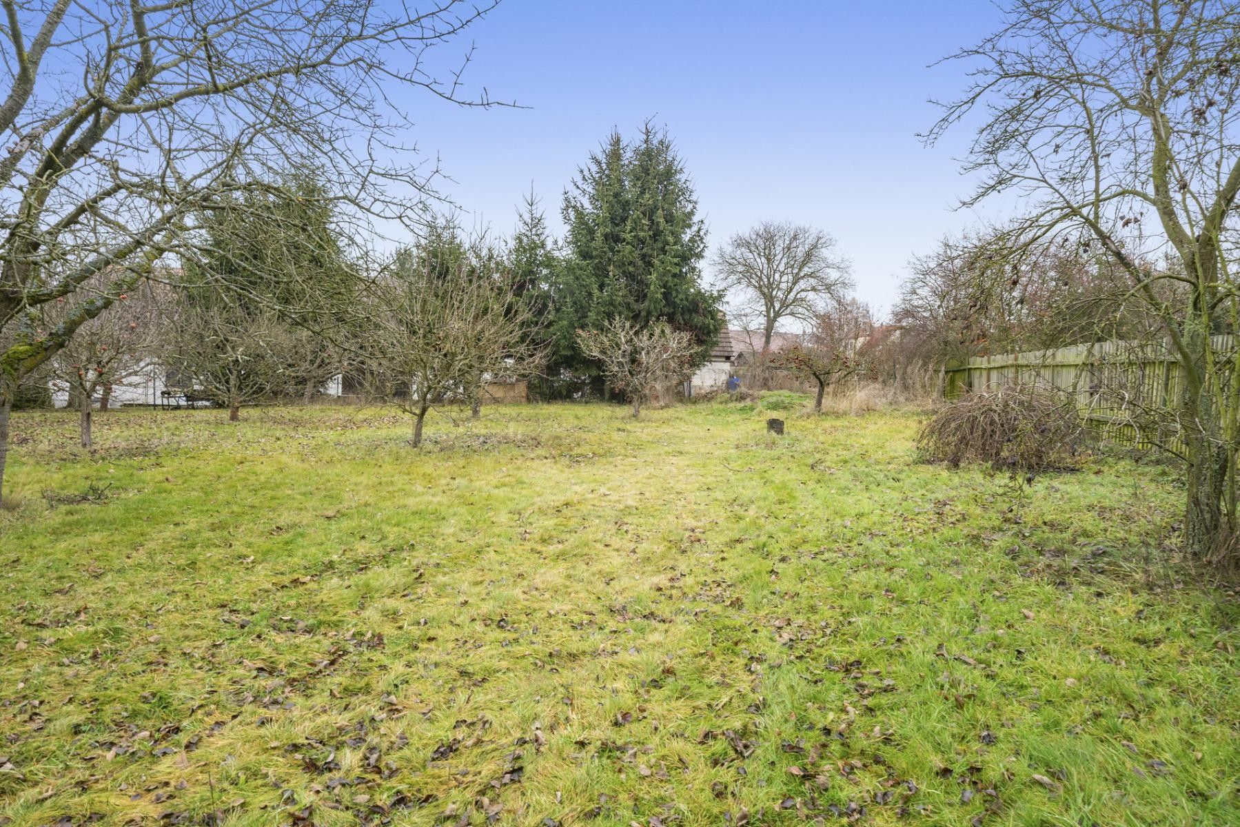 Prodej pozemek pro bydlení - Týček