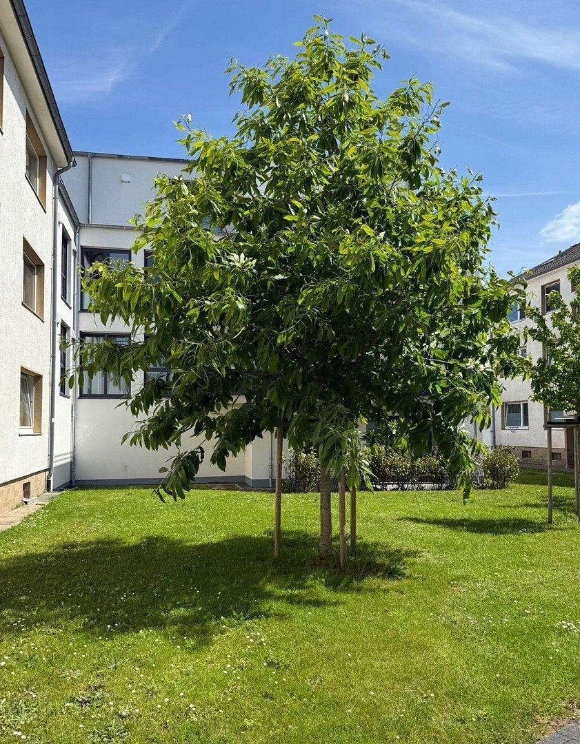 Byt 5+1 · 1 104 m² · , Severní Porýní-Vestfálsko - 3