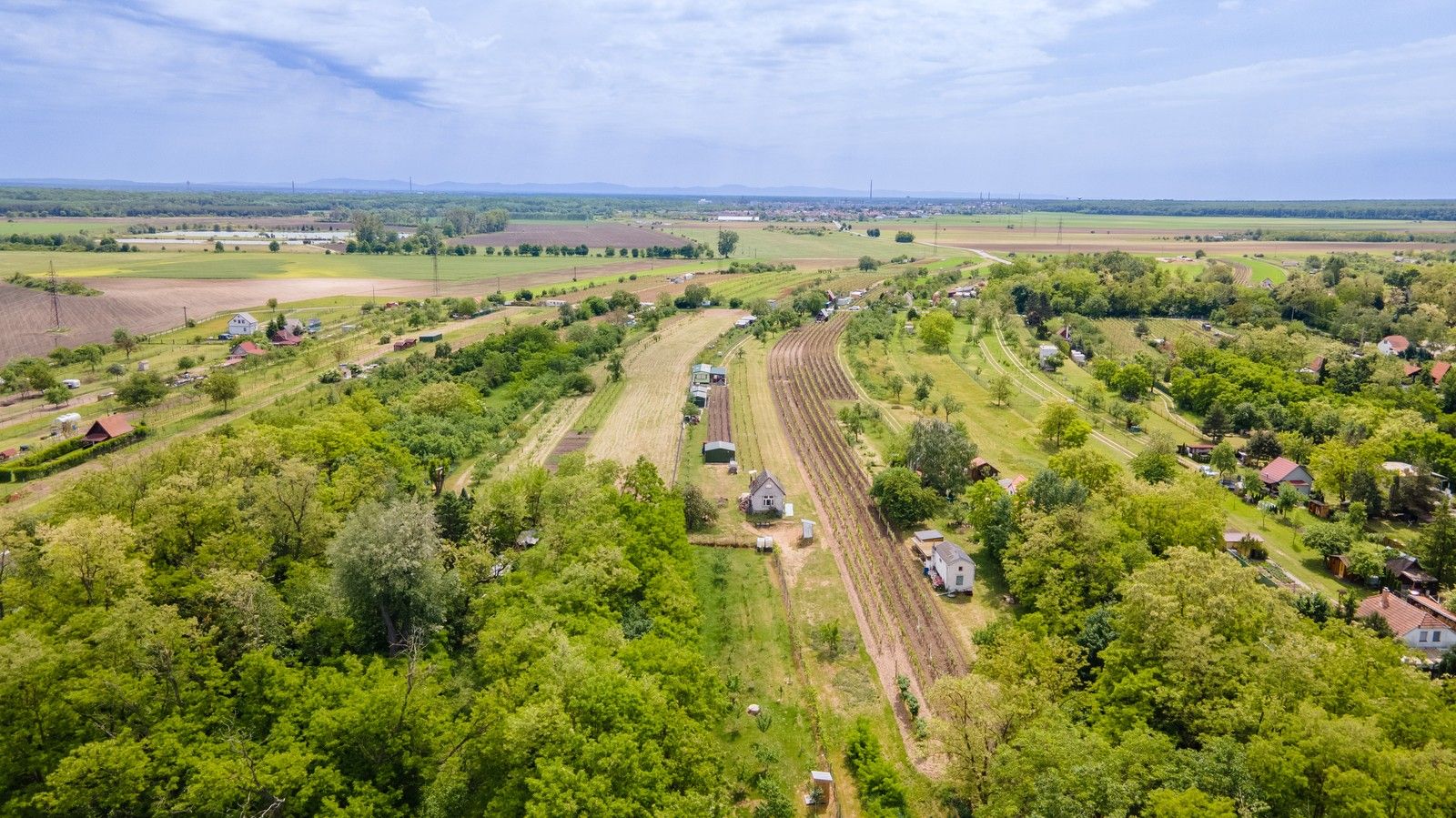 Prodej zahrada - Břeclav, 433 m² - 5