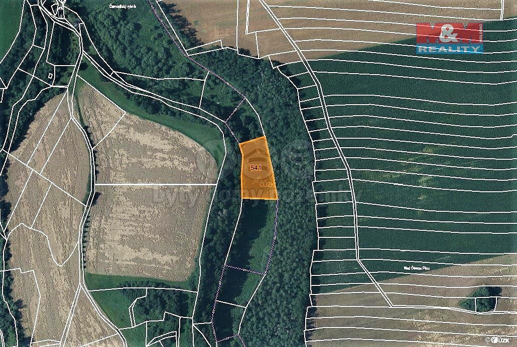 Prodej louka - Vilémov, okres Havlíčkův Brod, Kraj Vysočina - 5
