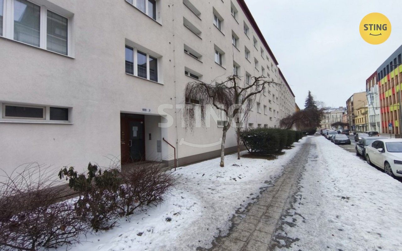 1+1, Žižkova, Jihlava, 36 m²