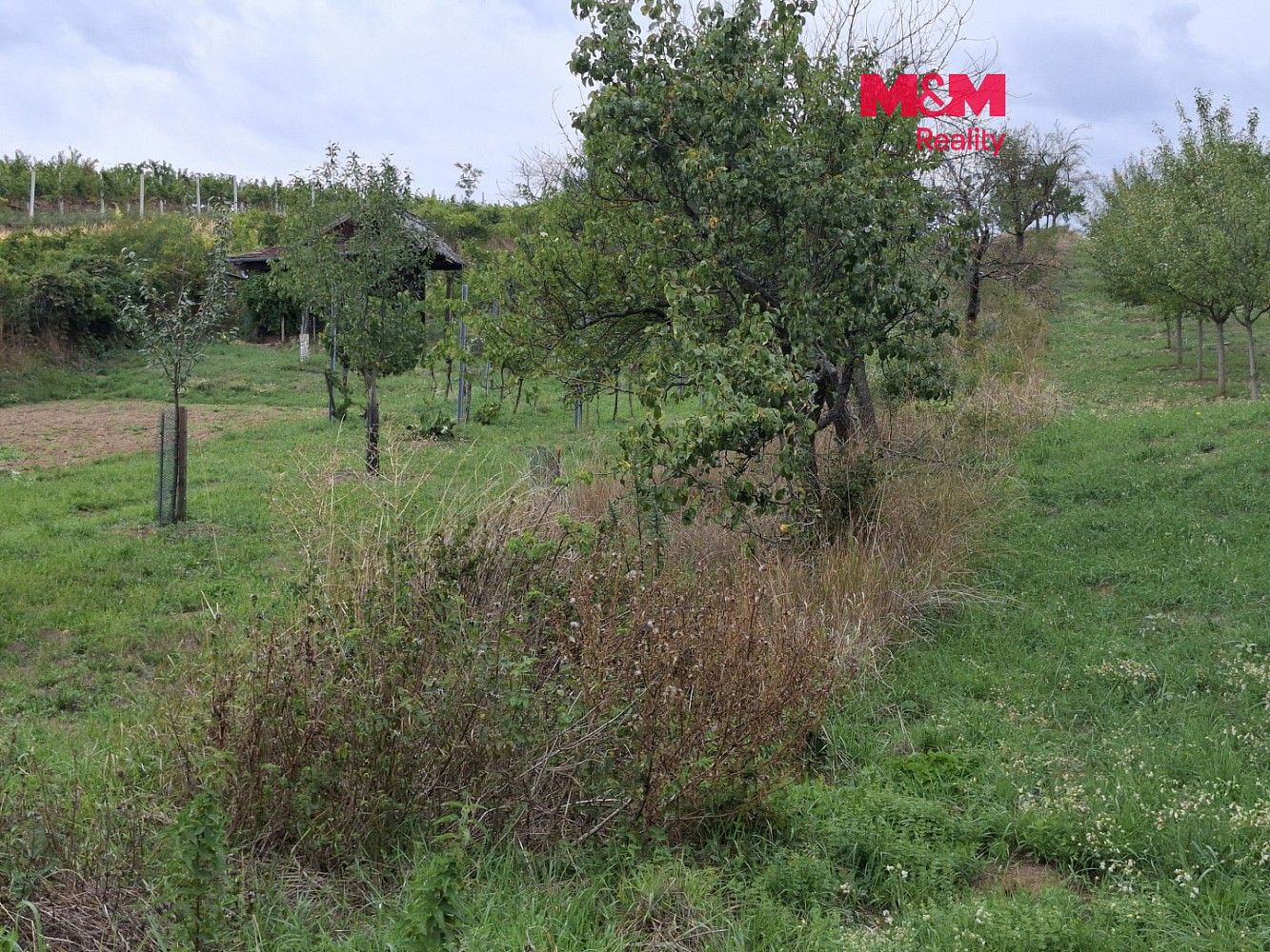Zemědělské pozemky, Vlkoš, okres Hodonín, Jihomoravský kraj - 1