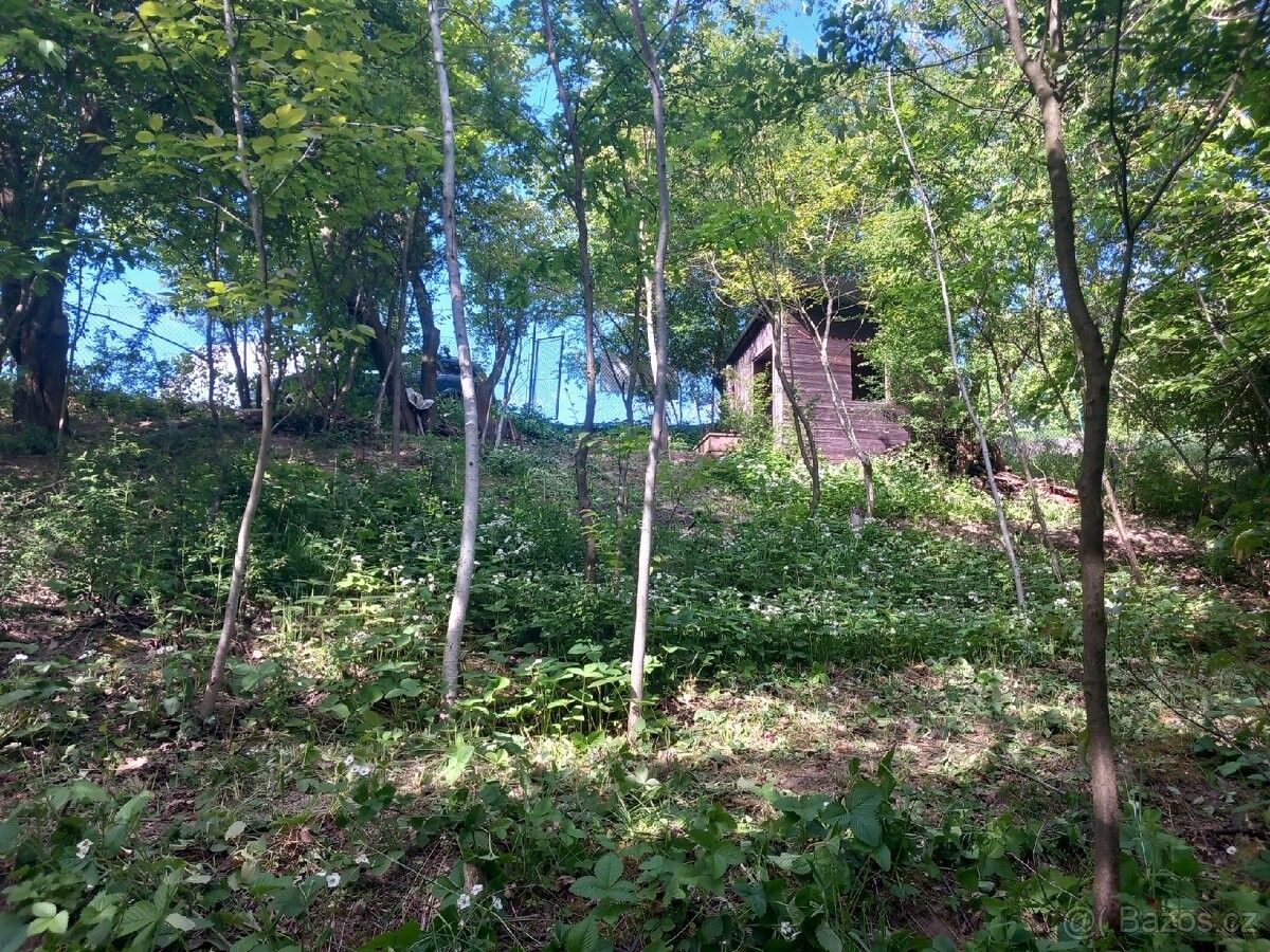 Pronájem zahrada - Zábřeh, 789 01