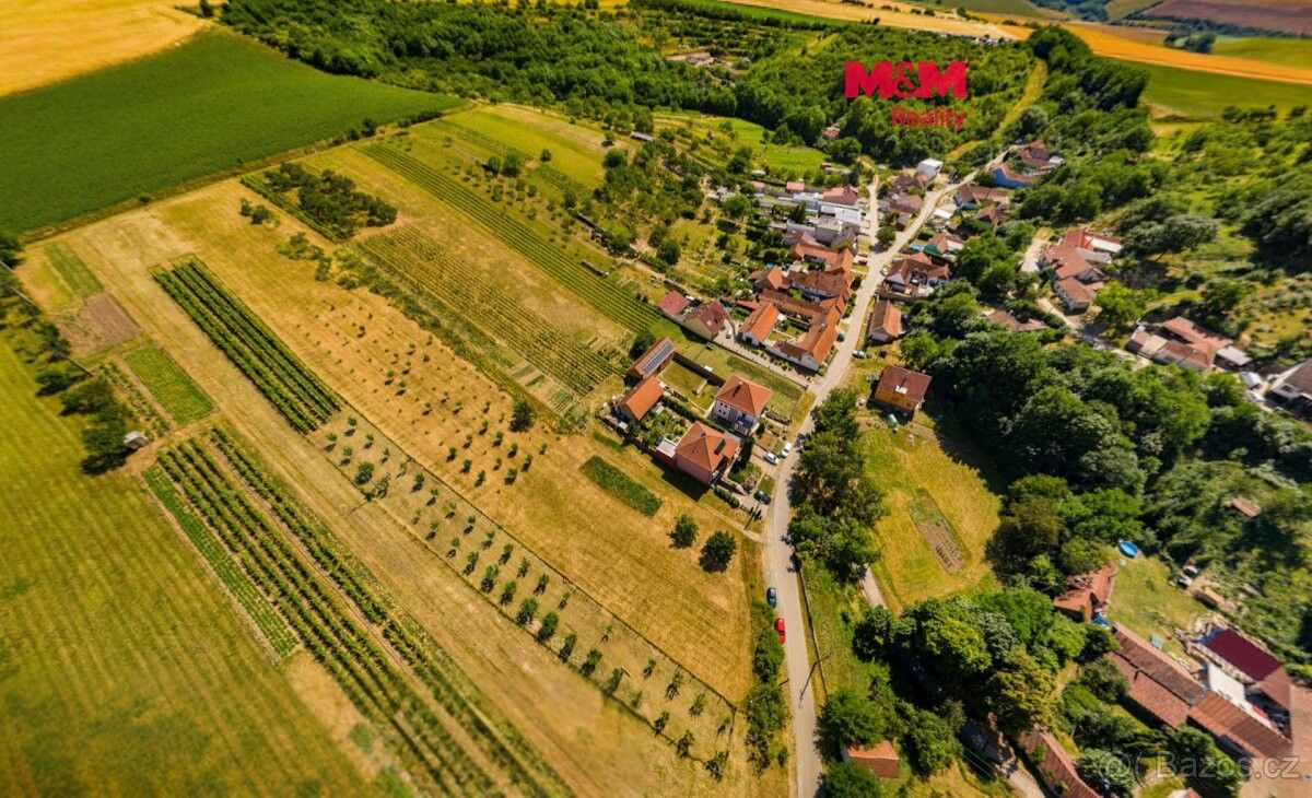 Pozemky pro bydlení, Borkovany, 691 75