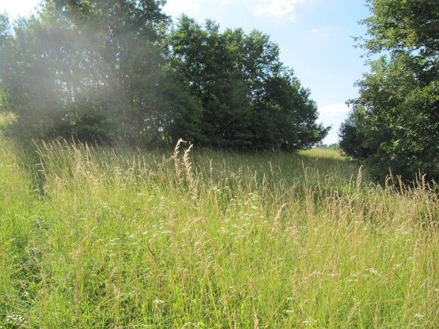 Prodej pozemek pro bydlení - Březůvky, 763 45