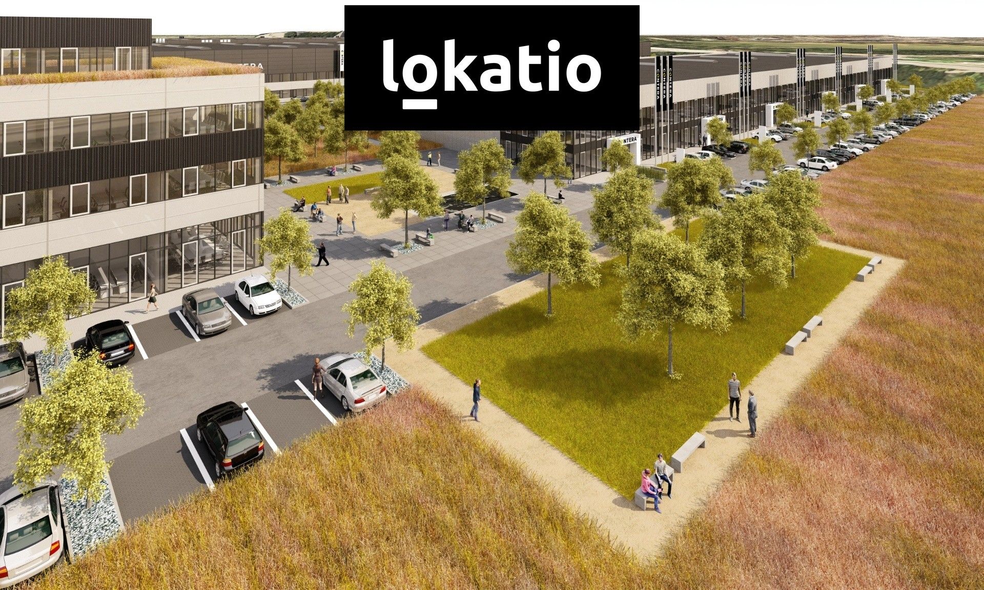 Pronájem sklad - Bohumínská, Ostrava, 13 500 m² - 5