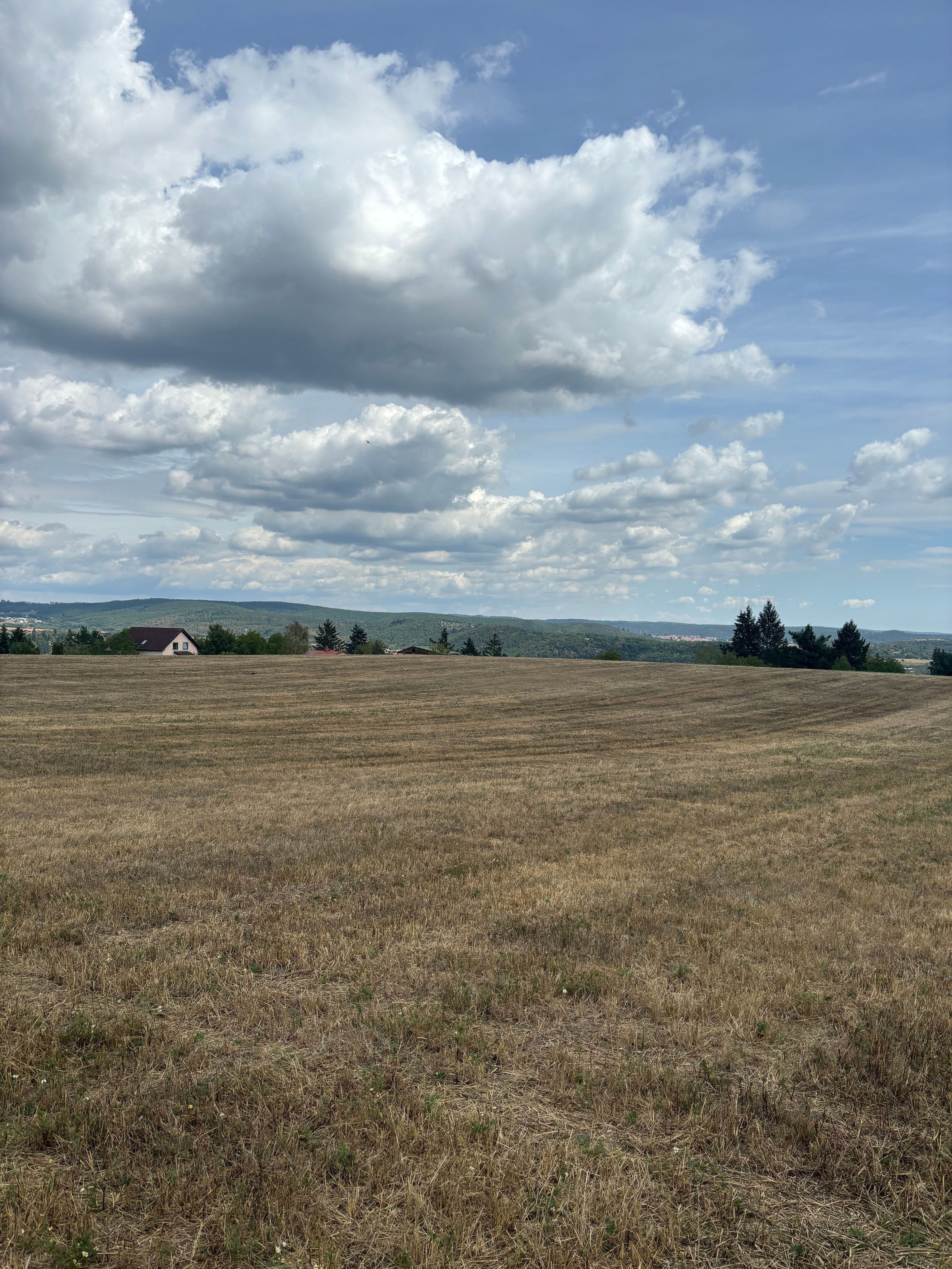 Pozemek pro bydlení · 2 440 m² · Vejrostova , Brno - 4