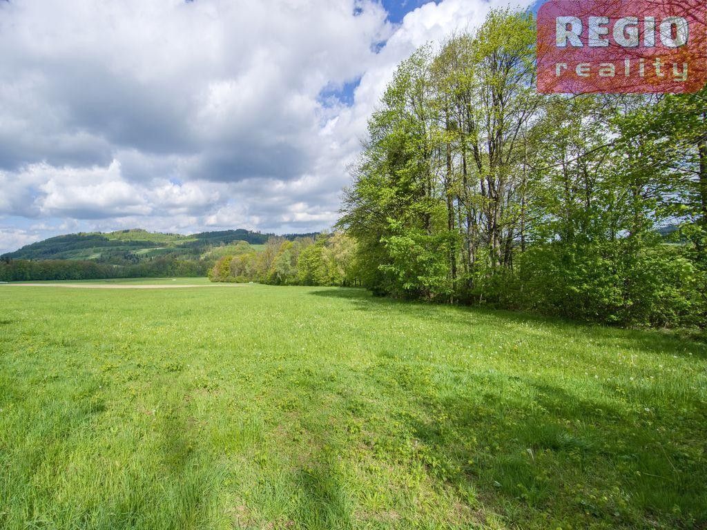 Prodej louka - Metylovice