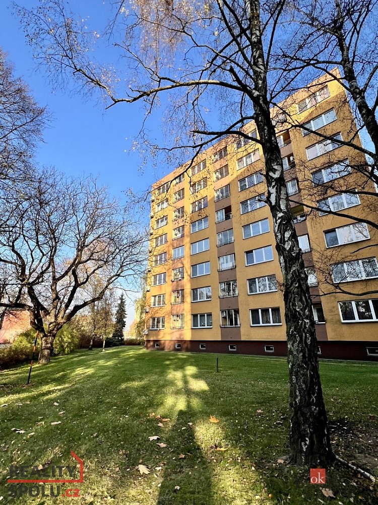 Byt 1+1, 28 m²