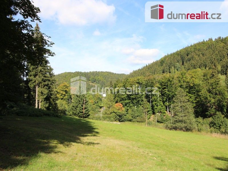 Pozemky pro bydlení, Pstruží, Merklín, 4 233 m²