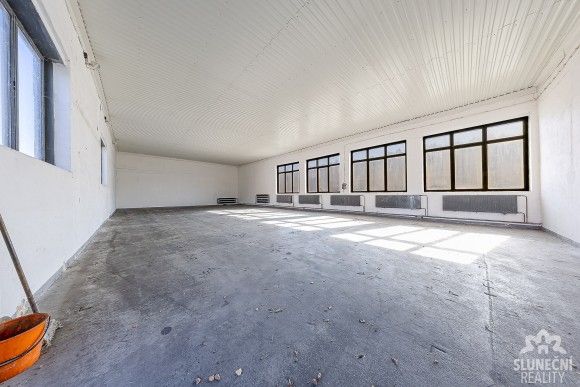 Pronájem sklad - Bzenec, 696 81