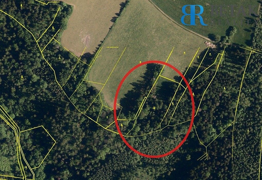 Les · Hranice - Hranice IX-Uhřínov, okres Přerov, Olomoucký kraj - 3