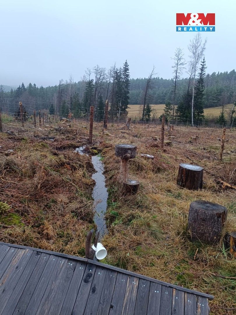 Prodej pozemek pro bydlení - Čestice, 387 19