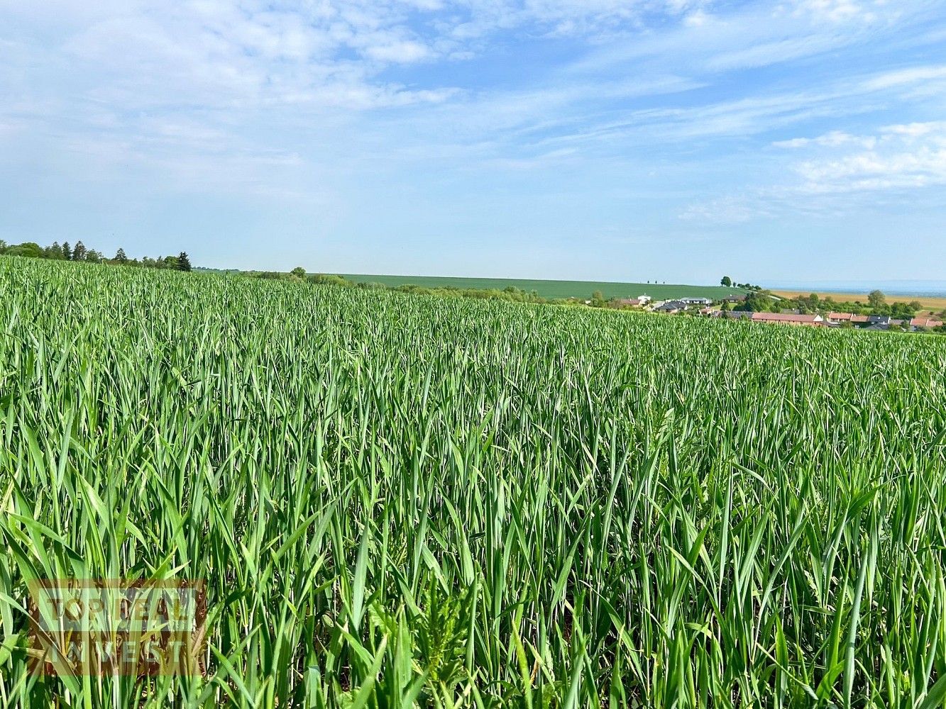 Zemědělský pozemek · Rataje - Popovice, okres Kroměříž, Zlínský kraj - 4