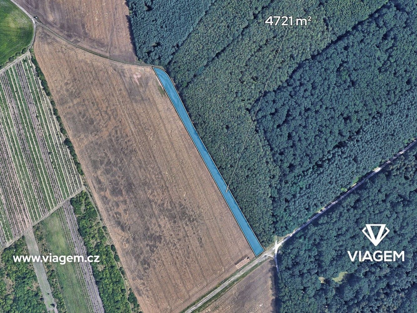 Zemědělské pozemky, Valtice, okres Břeclav, Jihomoravský kraj - 2