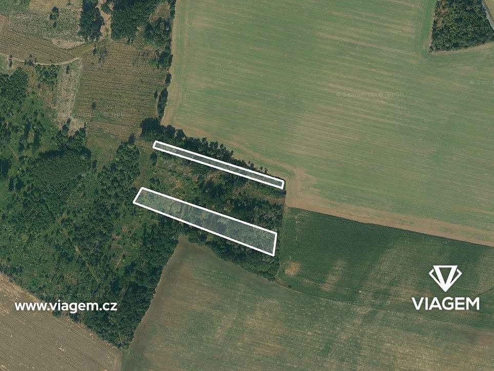 Prodej les - Bačice, okres Třebíč, Kraj Vysočina - 2
