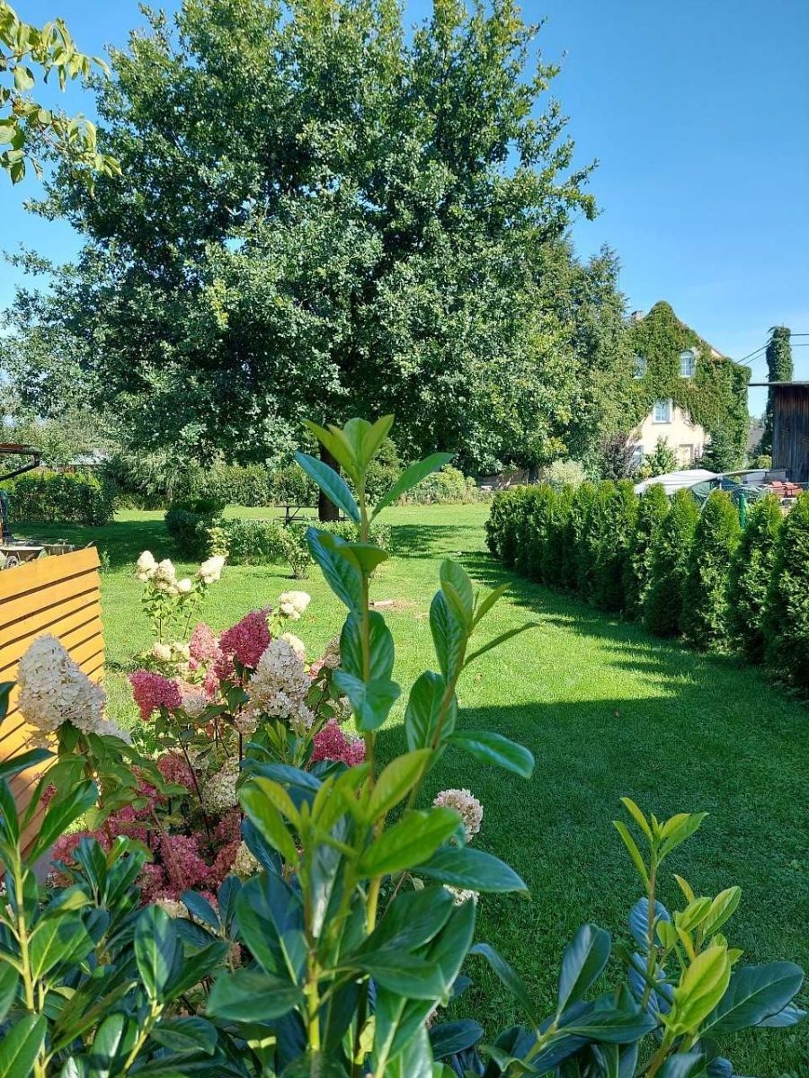 Chaty, Svijany - Svijany, Liberecký kraj