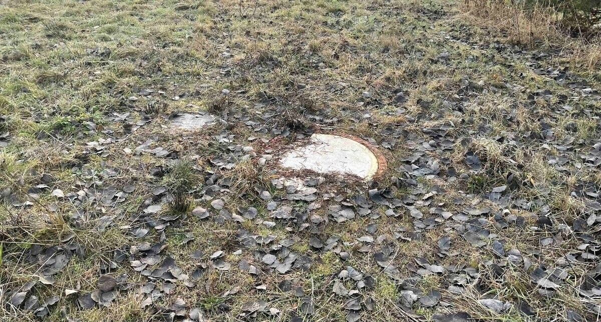 Prodej pozemek pro bydlení - Skuteč, 539 73 - 5