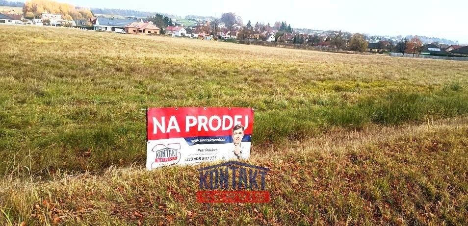 Prodej zemědělský pozemek - Litvínovice