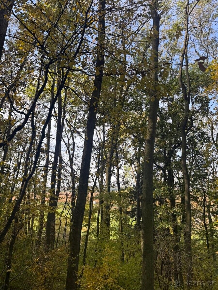 Pozemky pro bydlení, Přelouč, 535 01