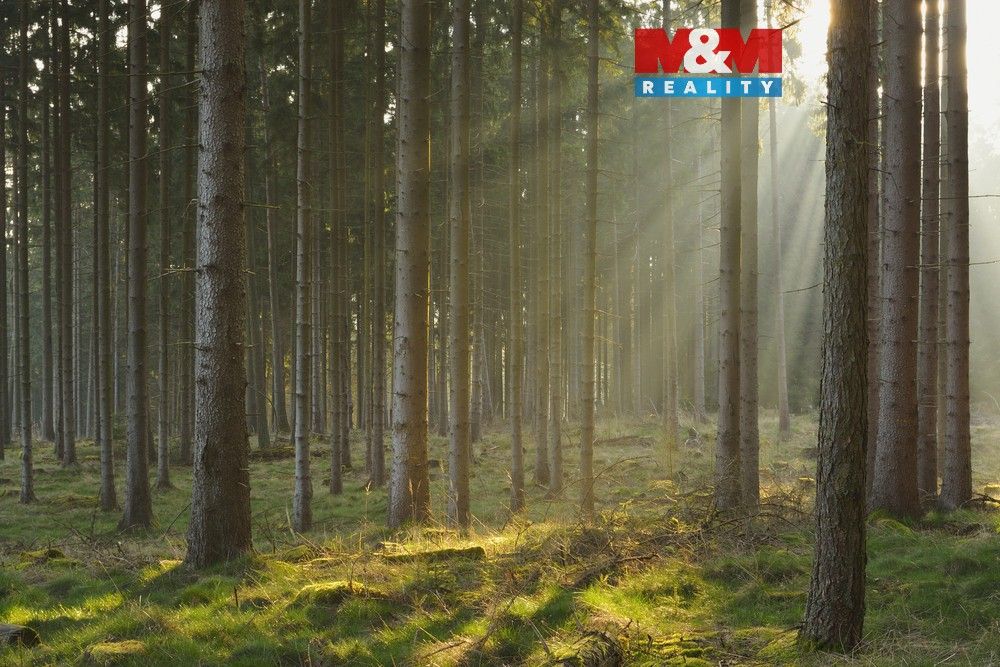 Pozemky pro bydlení, Bohy, 331 41