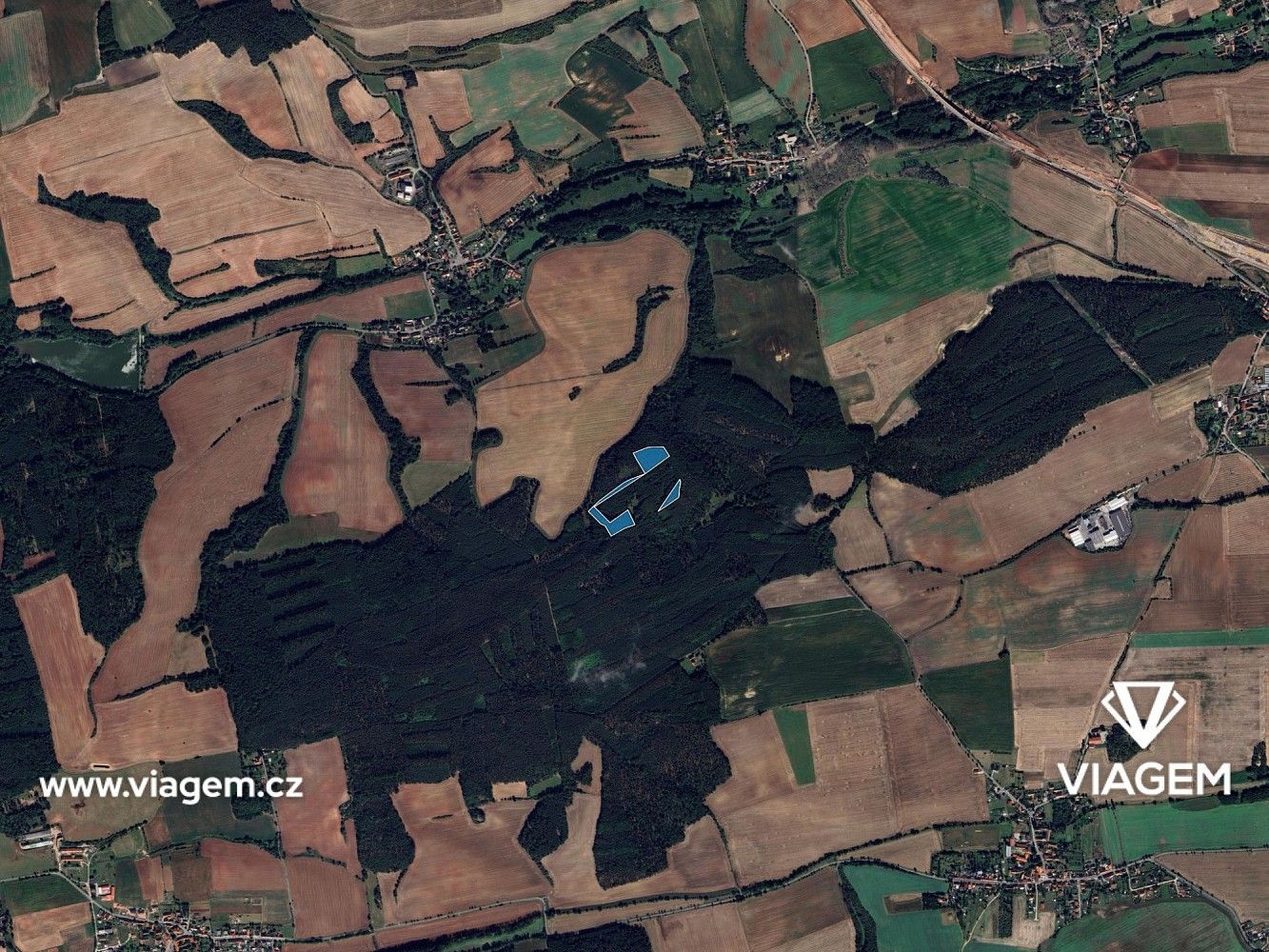 Les · Libovice, okres Kladno, Středočeský kraj - 3