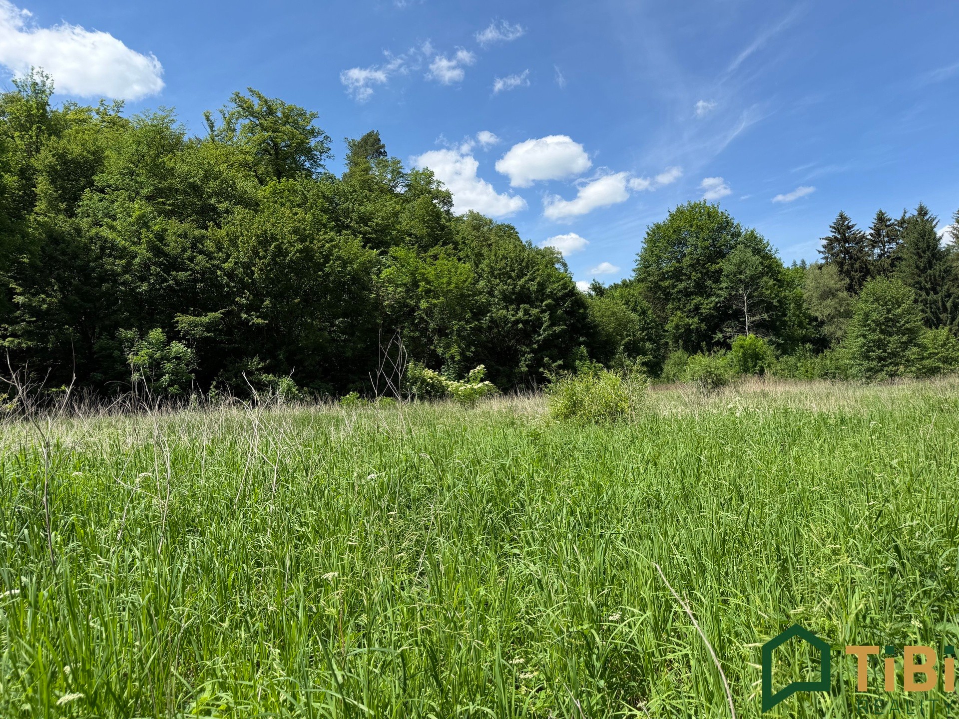 Prodej louka - Bílovice nad Svitavou, 3 200 m² - 5