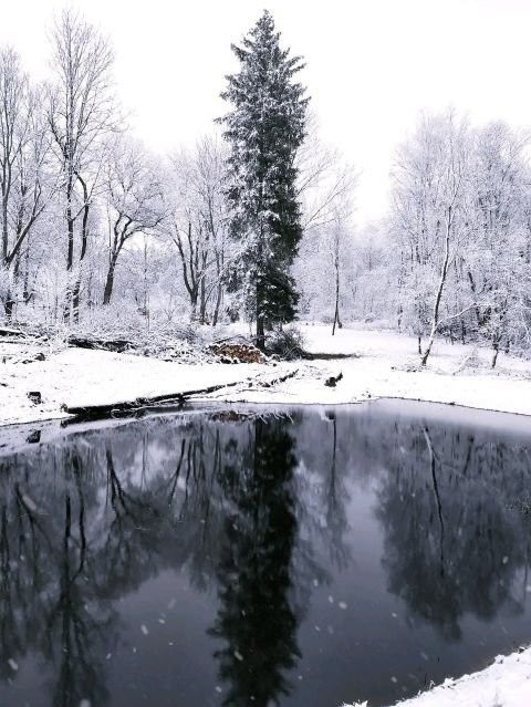 Prodej pozemek - Přídolí Záluží - 5