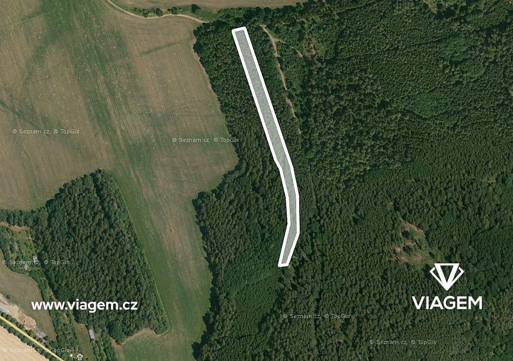 Lesy, Koloveč, okres Domažlice, Plzeňský kraj - 2