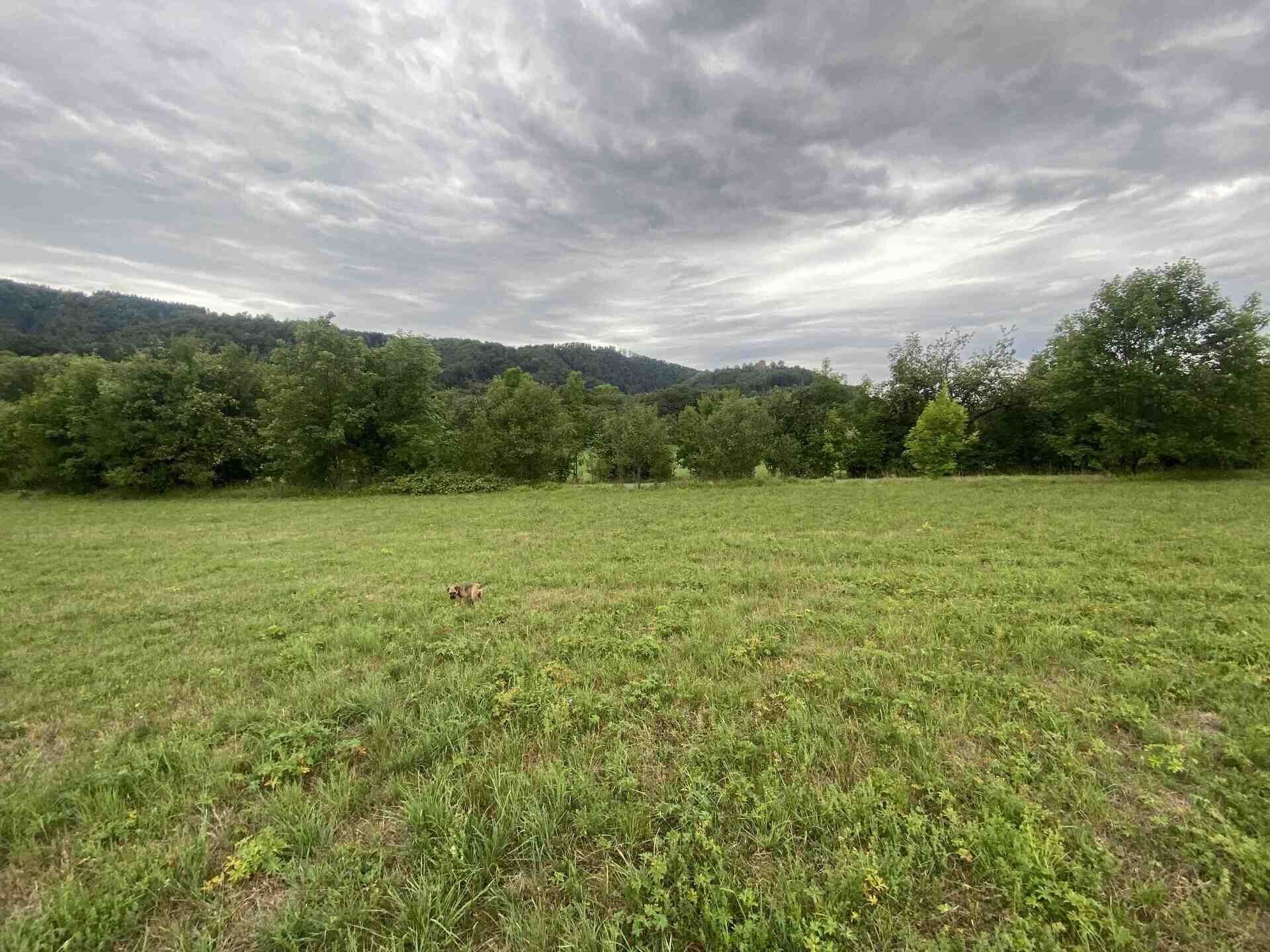 Zemědělské pozemky, Potštejn, 950 m² - 2