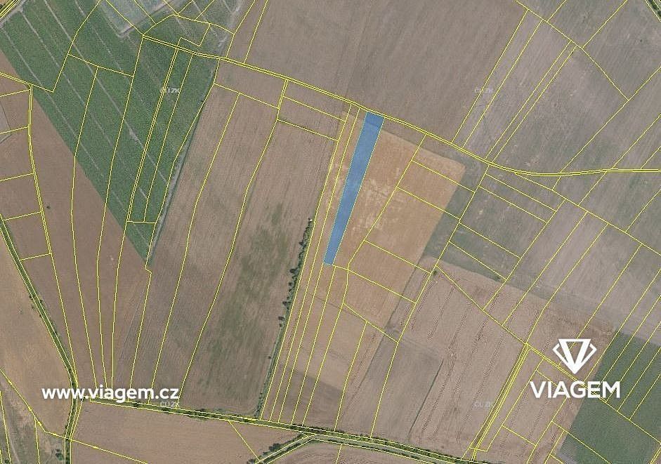 Zemědělský pozemek, 5 900 m²