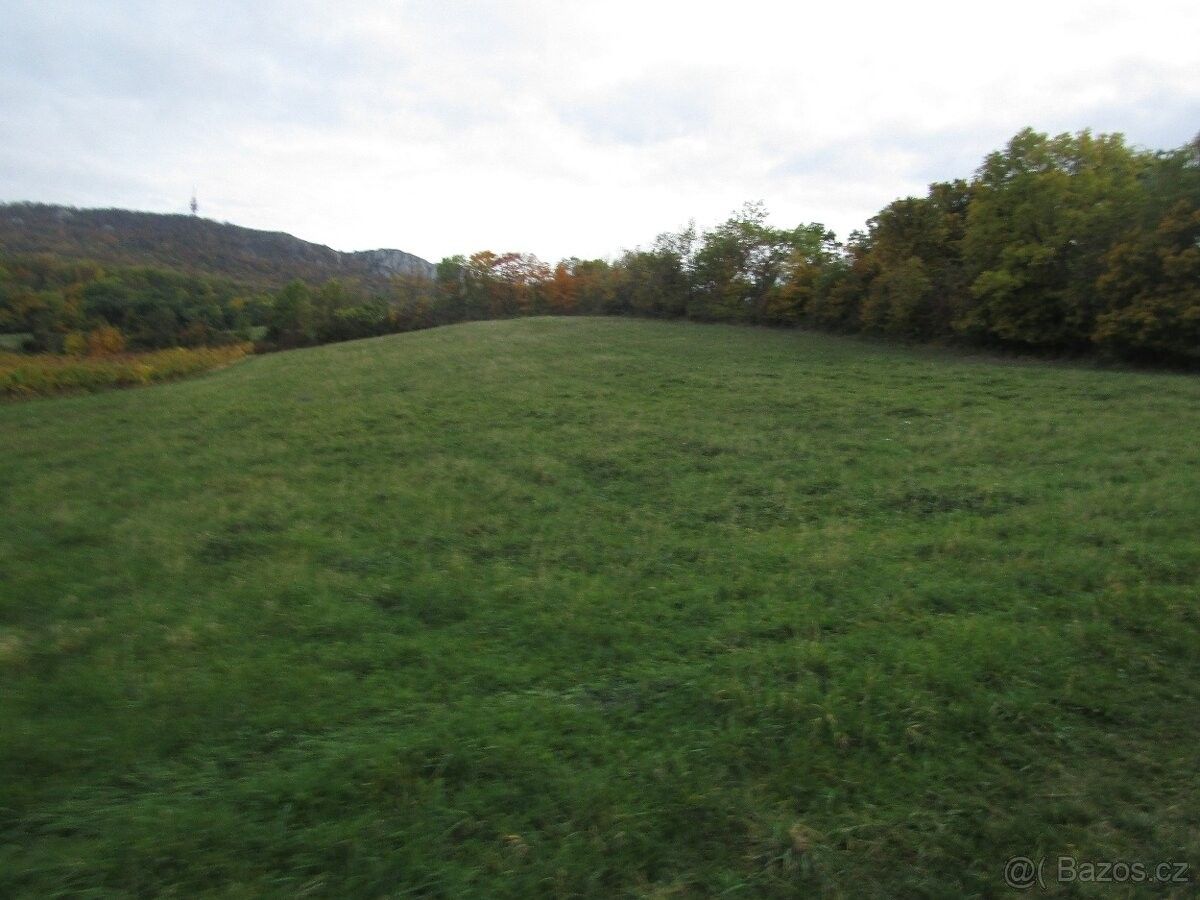 Pozemky pro bydlení, Březí u Mikulova, 691 81