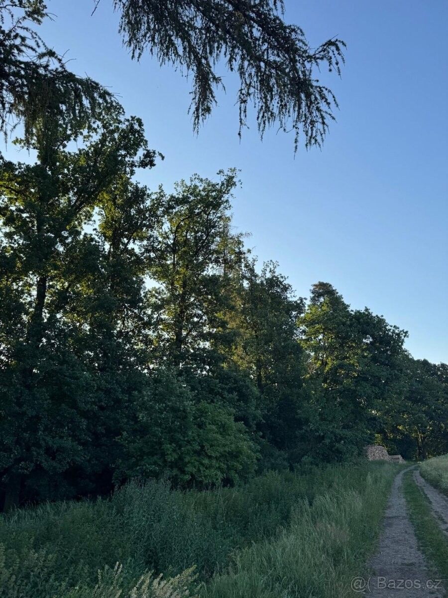 Prodej pozemek pro bydlení - Vlašim, 258 01