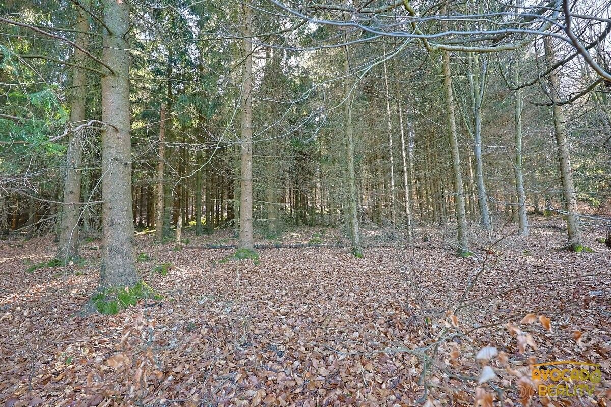 Pozemek pro bydlení · Rybniště, 407 51 - 4
