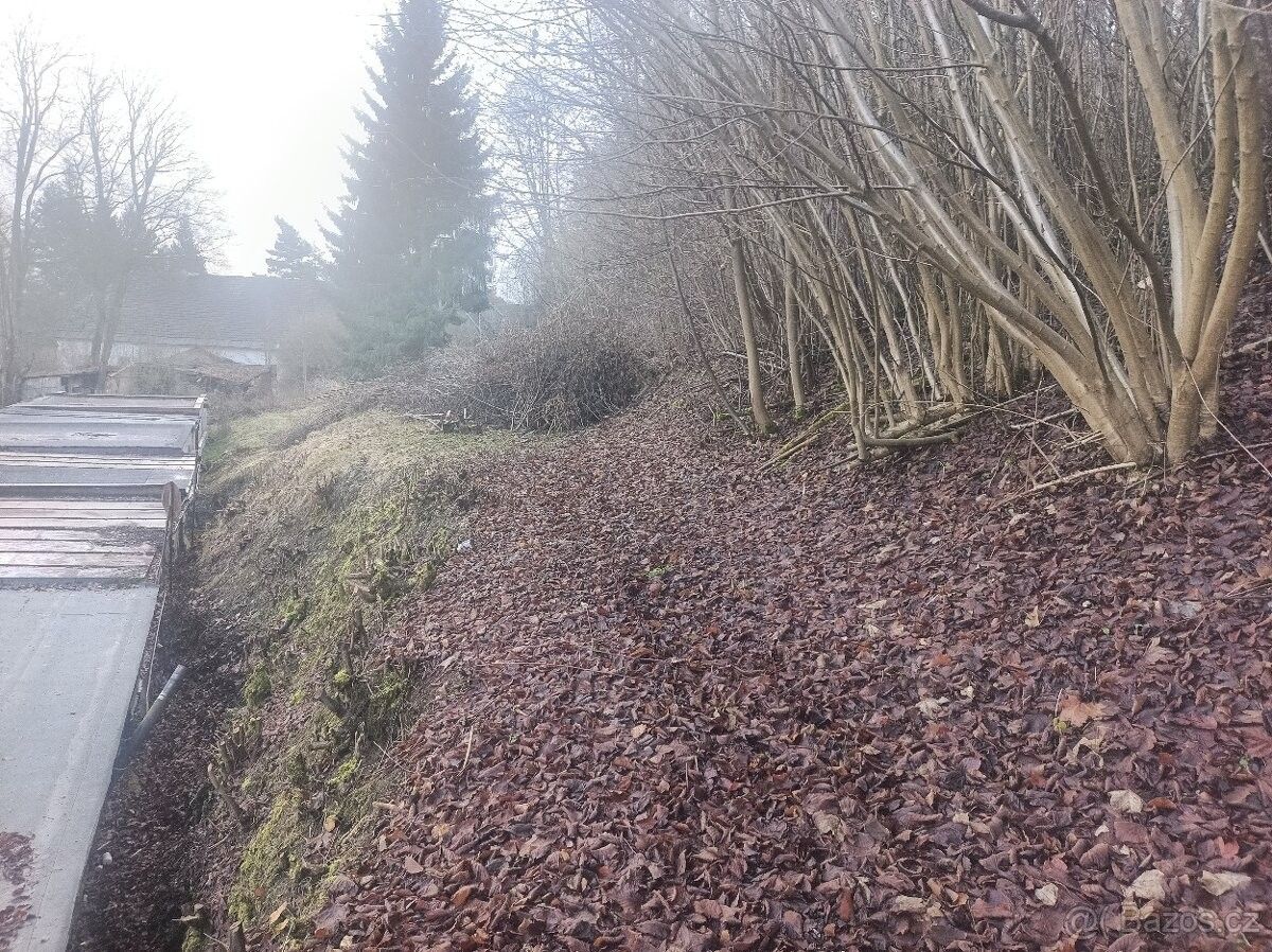 Prodej obchodní prostory - Teplice nad Metují, 549 57 - 5