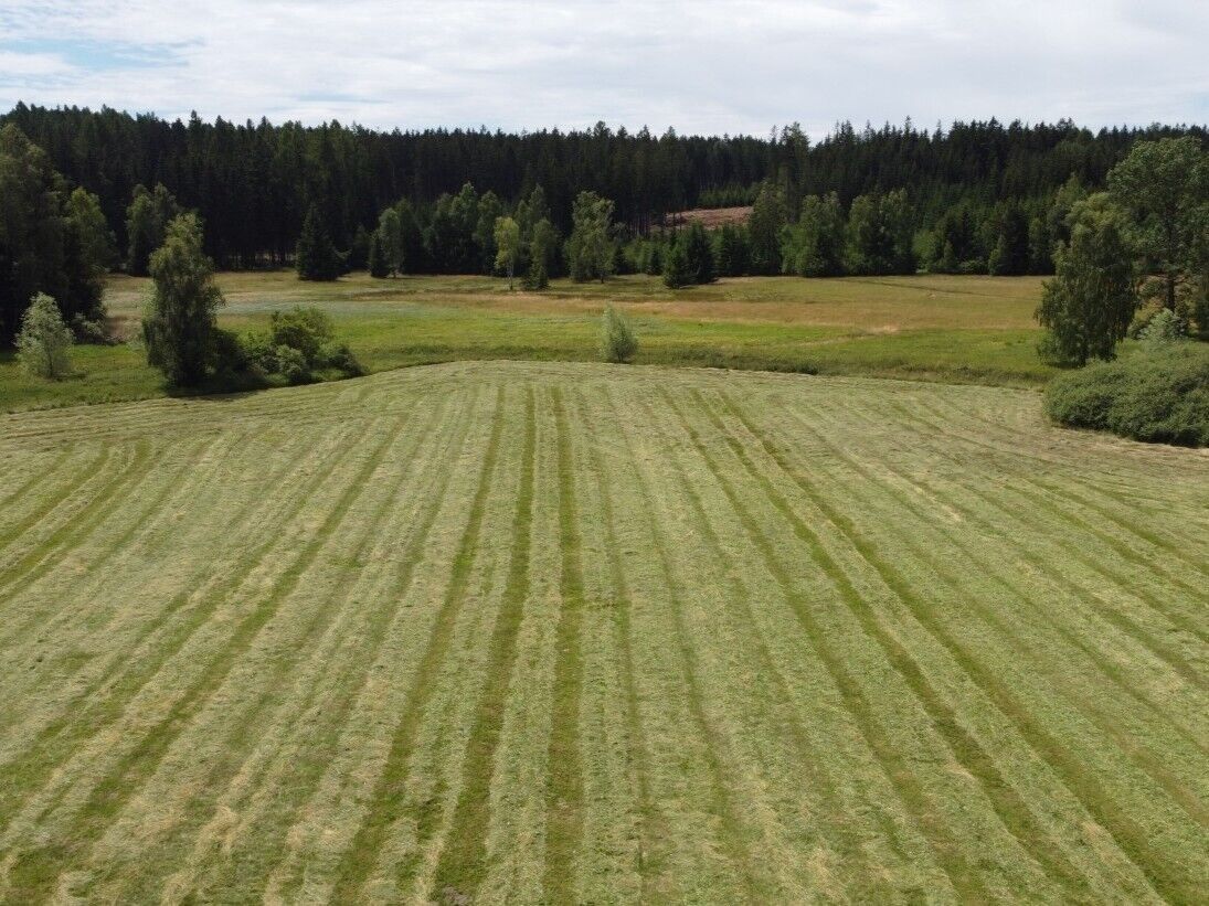 Zemědělské pozemky, Sobíňov, 7 m²
