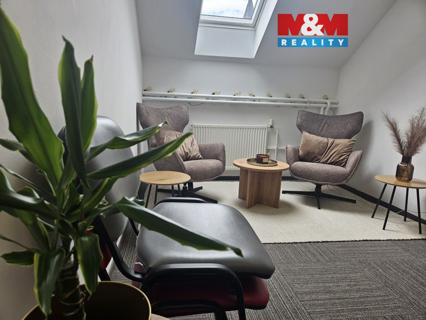 Obchodní prostory, Litovelská, Olomouc, 20 m²