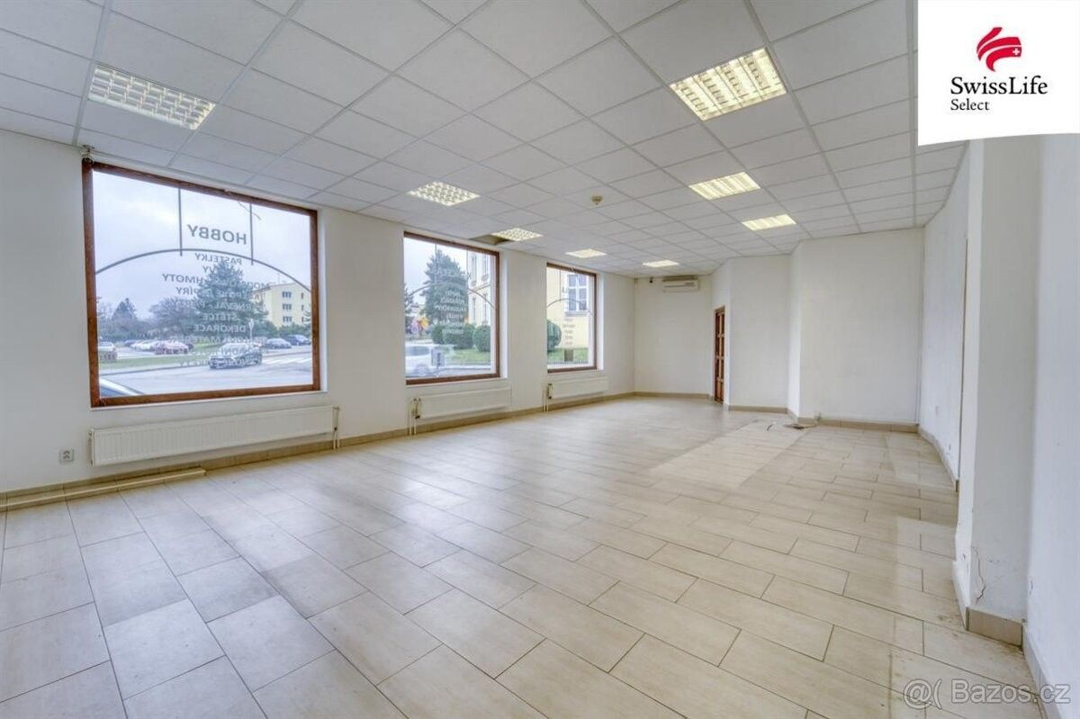 Obchodní prostory, Starý Plzenec, 332 02