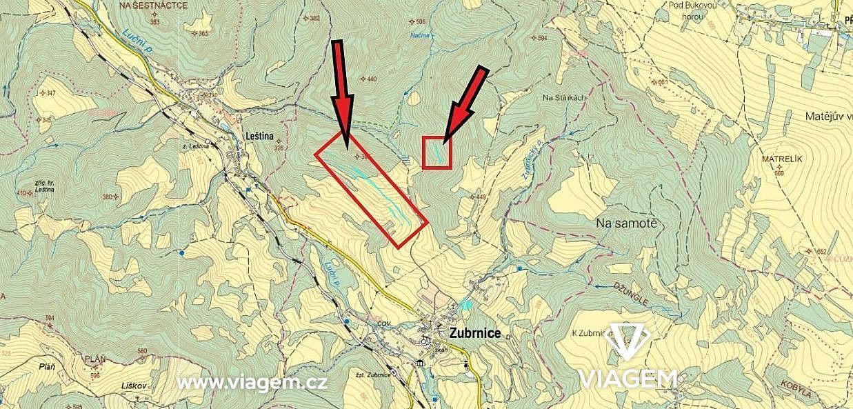 Les · Zubrnice, okres Ústí nad Labem, Ústecký kraj - 3