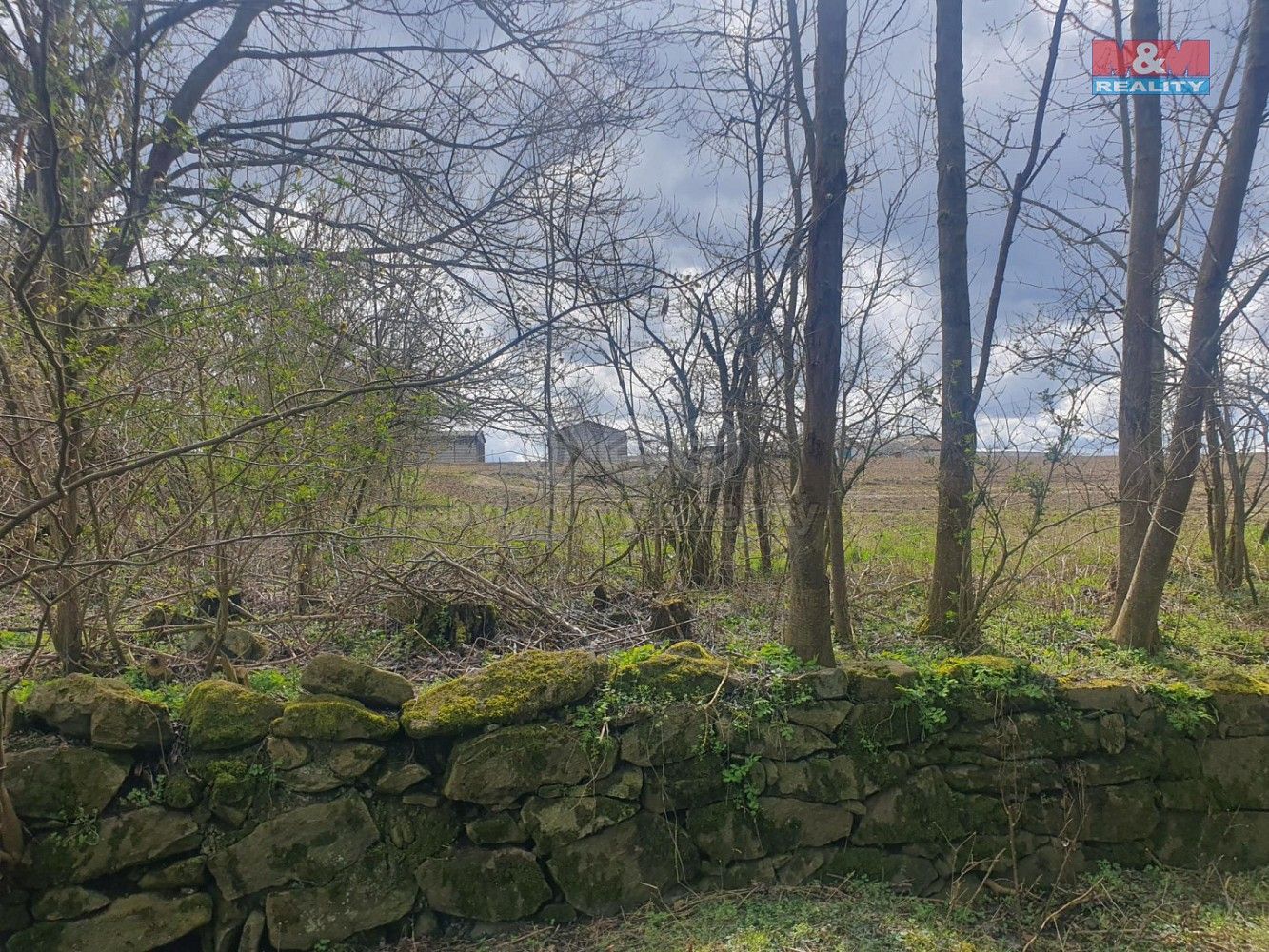 Zemědělské pozemky, Kozlovice, okres Plzeň-jih, Plzeňský kraj - 2