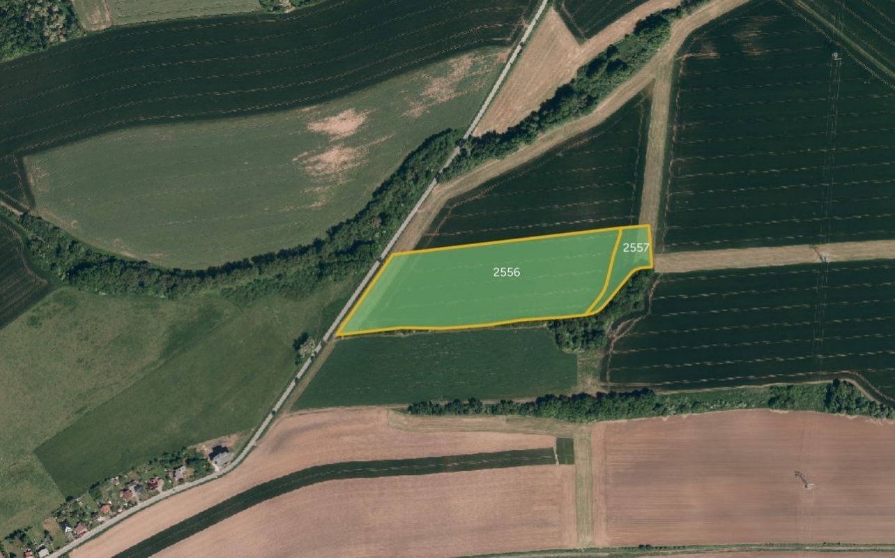 Zemědělské pozemky, Suchdol nad Odrou - 1