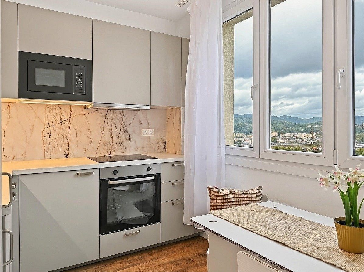 Byt 1+1, 42 m²