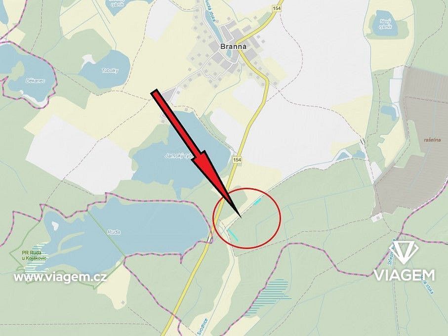 Les · Třeboň, okres Jindřichův Hradec, Jihočeský kraj - 2