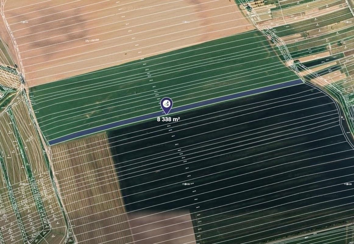 Zemědělské pozemky, Čejkovice, 4 169 m²