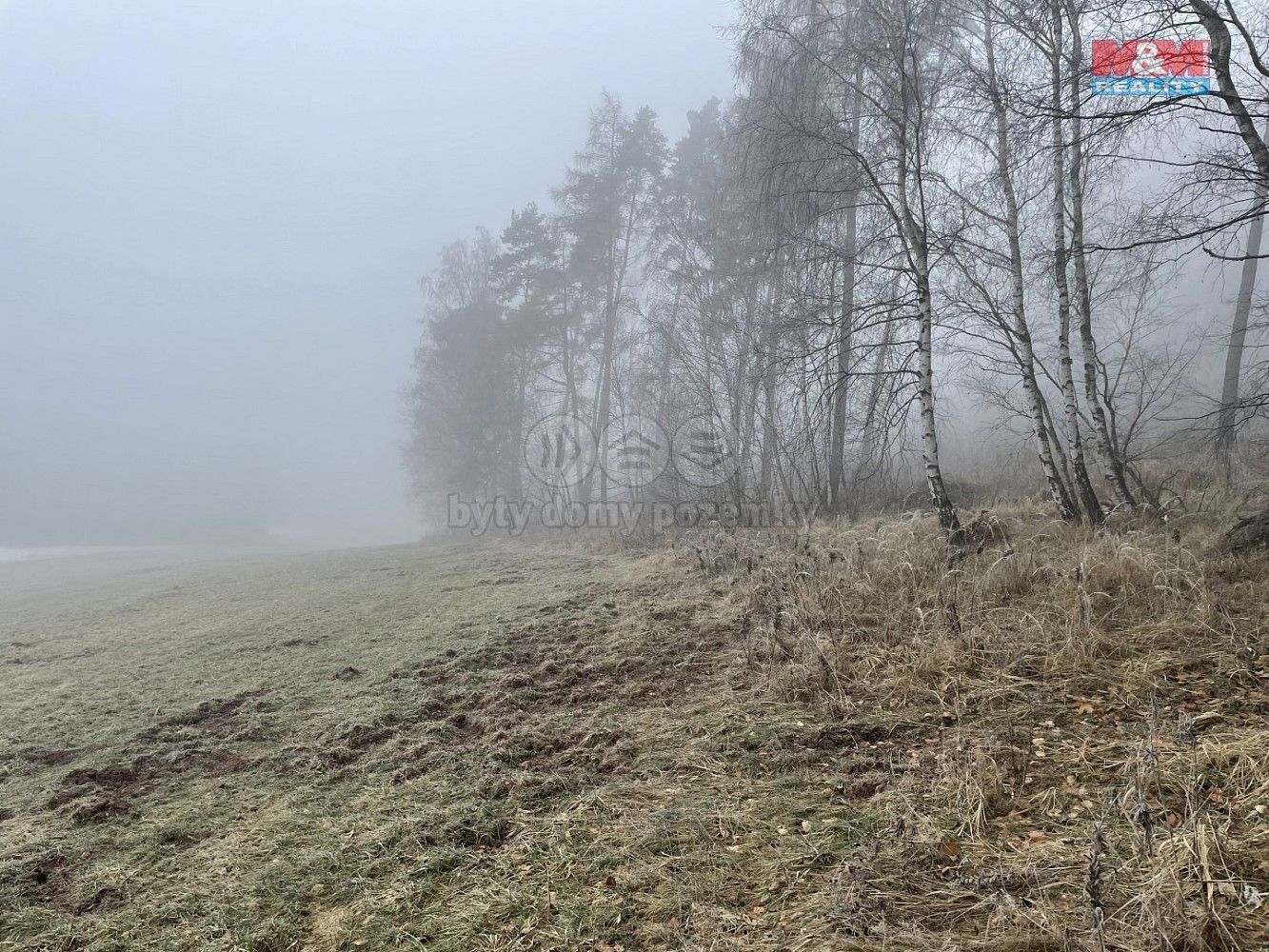 Les · Stará Paka, okres Jičín, Královéhradecký kraj - 4