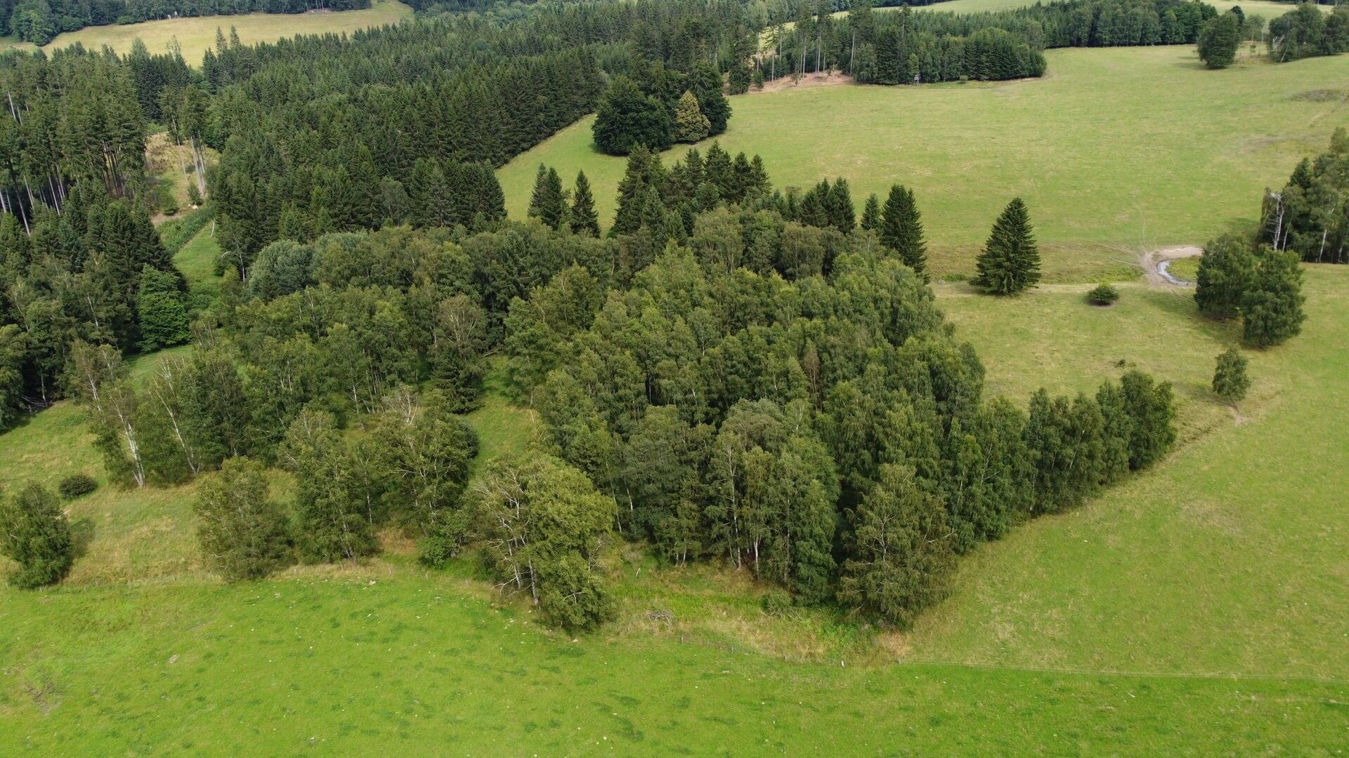 Zemědělský pozemek · 6 044 m² · Březová - 4