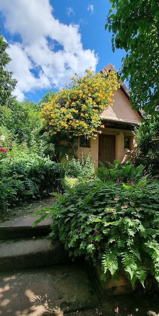 Prodej rodinný dům - , Hessen, 240 m² - 5