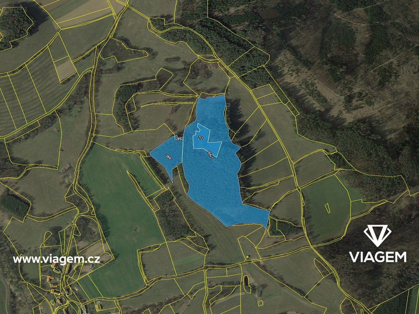 Les · Nechvalice, okres Příbram, Středočeský kraj - 4