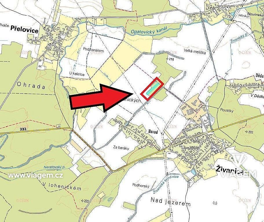 Les · Živanice, okres Pardubice, Pardubický kraj - 3
